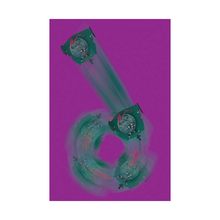 Load image into Gallery viewer, Elenco 21-882 Turning Frog Kit