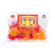 Load image into Gallery viewer, Thames and Kosmos 550024 Gummy Candy Lab