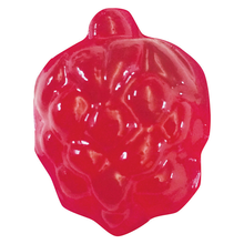 Load image into Gallery viewer, Thames and Kosmos 550024 Gummy Candy Lab