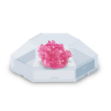 Load image into Gallery viewer, Thames and Kosmos 643614 Crystal Creation Science Kit