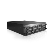 Load image into Gallery viewer, iStarUSA DAGE312UTL-3MS 3U 12-bay 3.5" SAS/SATA 6.0Gb/s miniSAS SFF8088 JBOD Trayless Rackmount Chassis 500W PSU