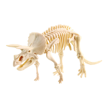 Load image into Gallery viewer, Elenco EDU-37261 Dig It! Triceratops Science Kit