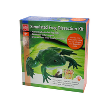 Load image into Gallery viewer, Elenco EDU-37307 Simulated Frog Dissection Kit