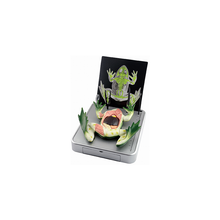 Load image into Gallery viewer, Elenco EDU-37307 Simulated Frog Dissection Kit