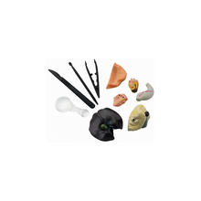 Load image into Gallery viewer, Elenco EDU-37307 Simulated Frog Dissection Kit