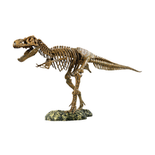 Load image into Gallery viewer, Elenco EDU-37329 Science Tech T-Rex Skeleton 36" Scale Replica Model