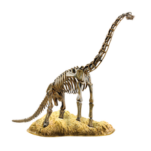 Load image into Gallery viewer, Elenco EDU-37670 Brachiosaurus Skeleton Model Kit