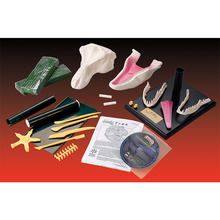 Load image into Gallery viewer, Elenco EDU-559 Peg Sculpture® Head T-Rex
