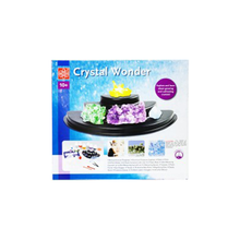 Load image into Gallery viewer, Elenco EDU-CM007 Crystal Wonder