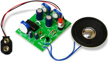 Load image into Gallery viewer, Elenco K-19 Digital Bird Soldering Kit