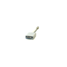 Load image into Gallery viewer, Bytecc MIDP-DVI005  Mini DisplayPort to DVI-D 0.5ft (6") Adapter