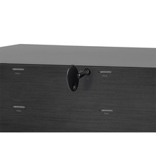 Load image into Gallery viewer, SilverStone RS831S Rackmount Storage
