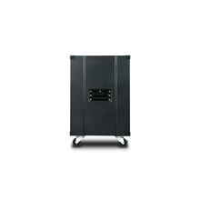 Load image into Gallery viewer, iStarUSA WD-1245 12U 450mm Depth Simple Server Rack